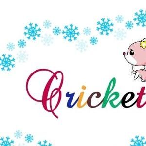 Meet your Posher, Cricket